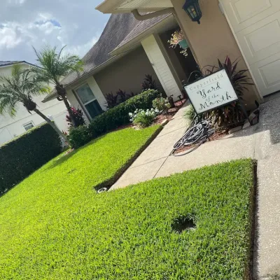 healthy green lawn