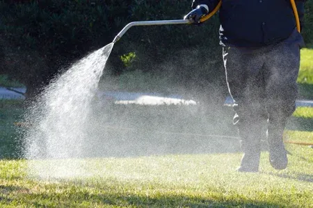 fungicide treatment