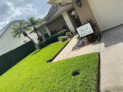 healthy green lawn