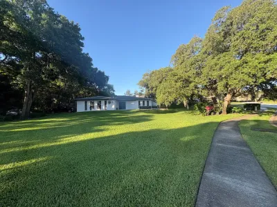 green lawn