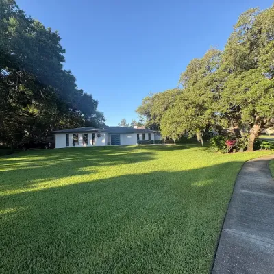 green lawn